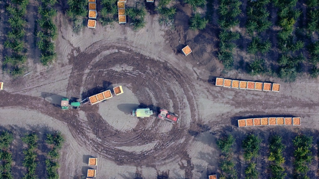 Oh juremos con gloria&nbsp;comer
